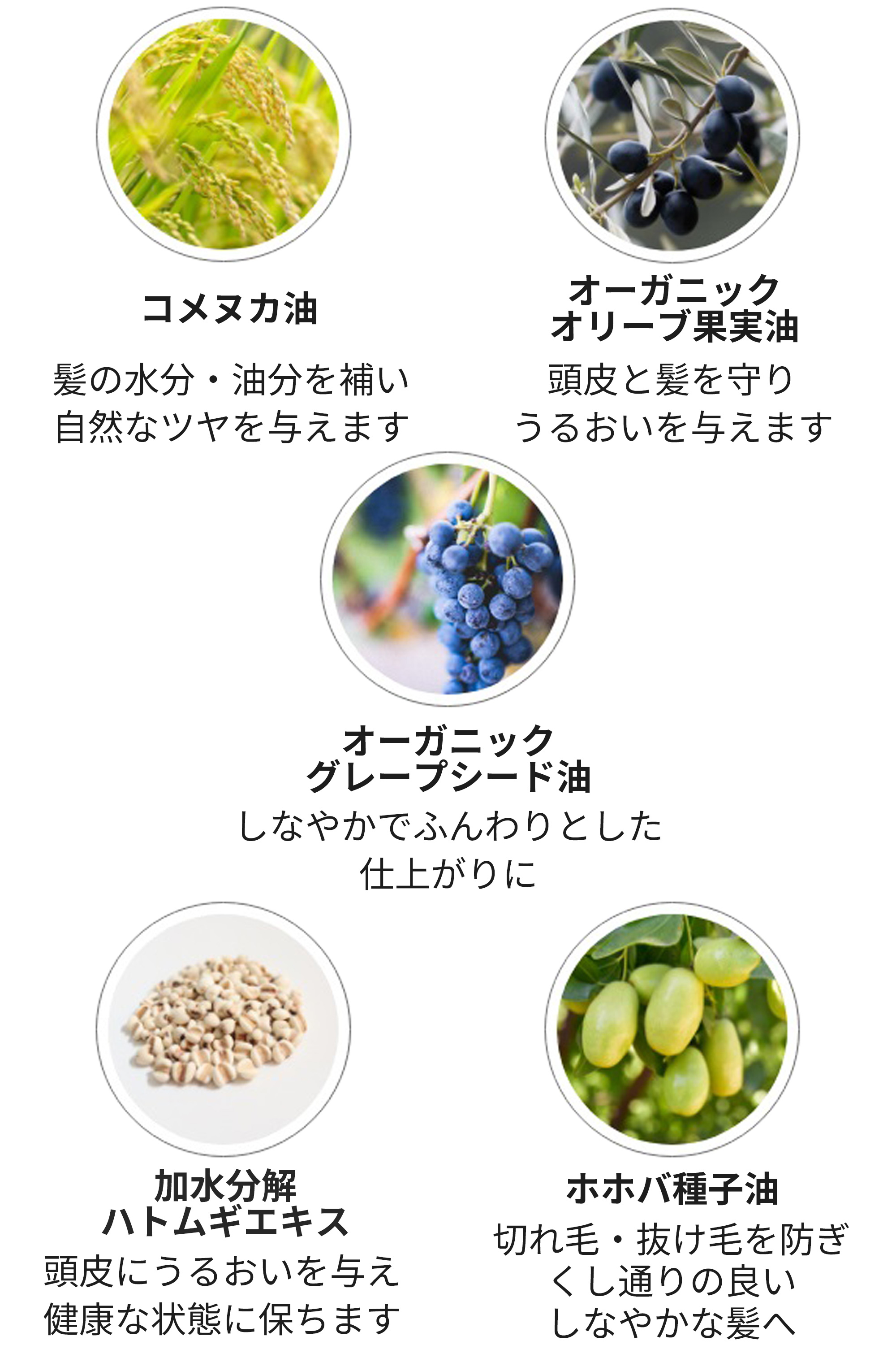 シャンプーAW成分
