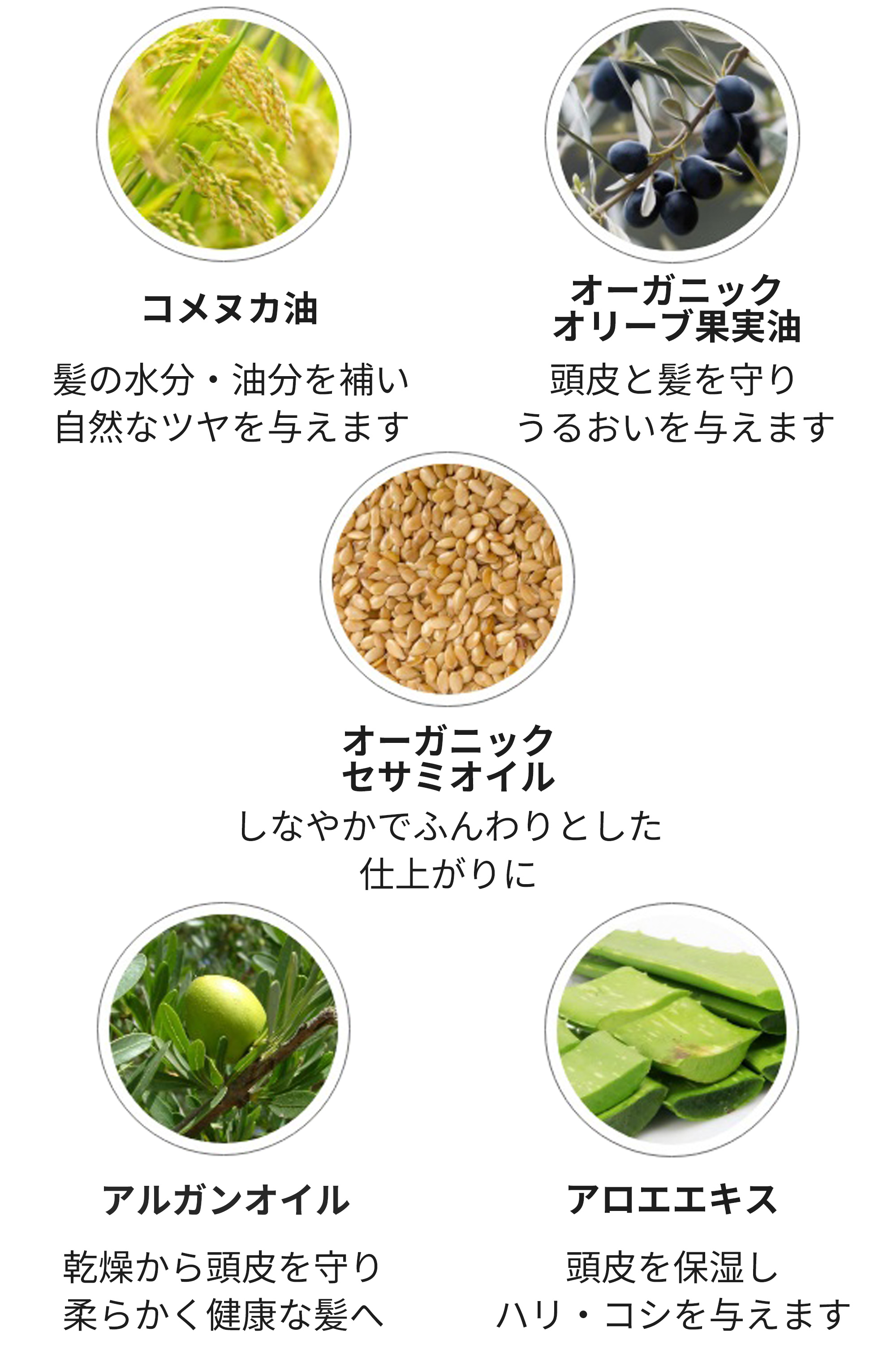 シャンプーAWEX成分