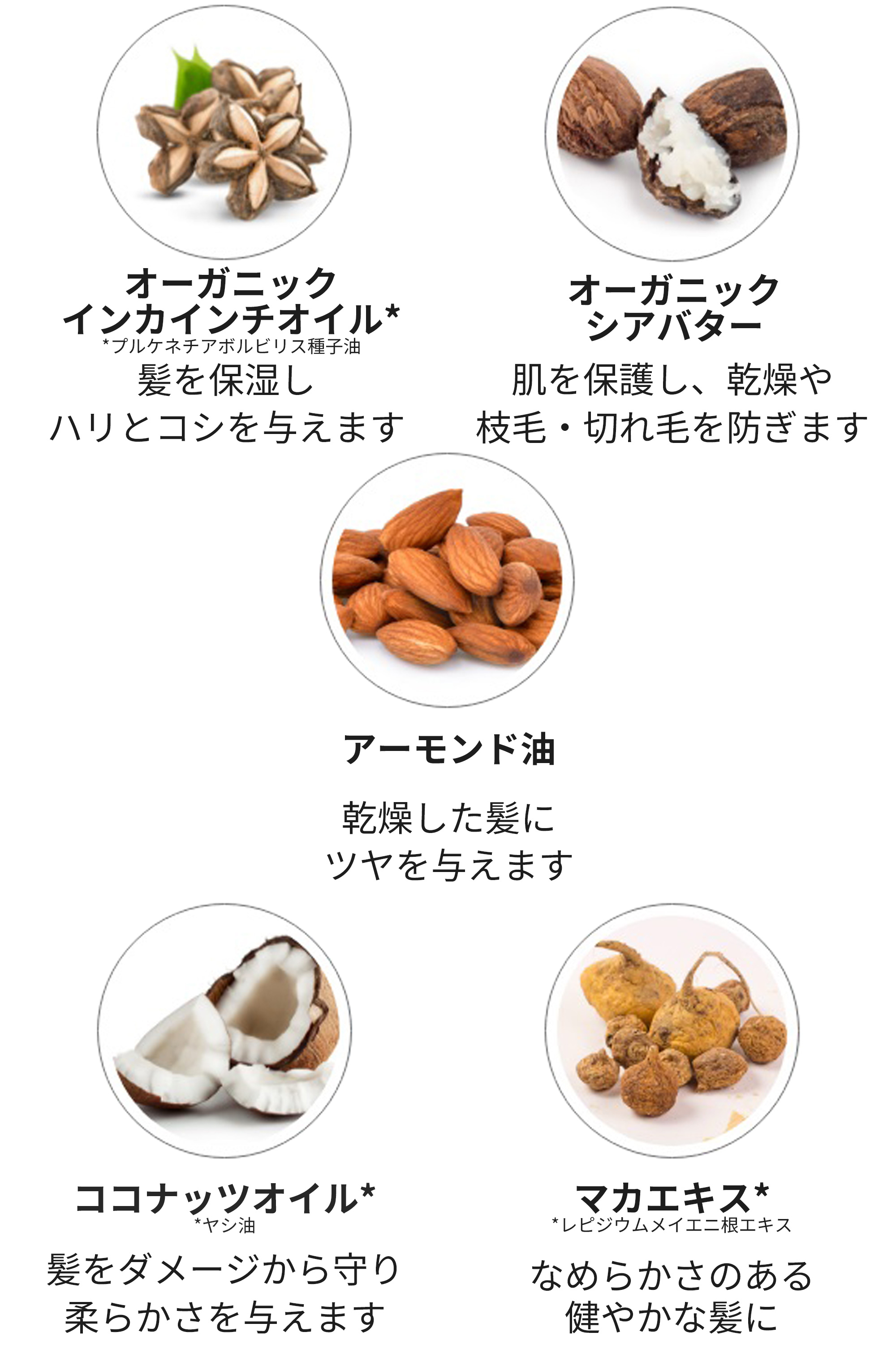 インテンシブコンディショナーEB成分