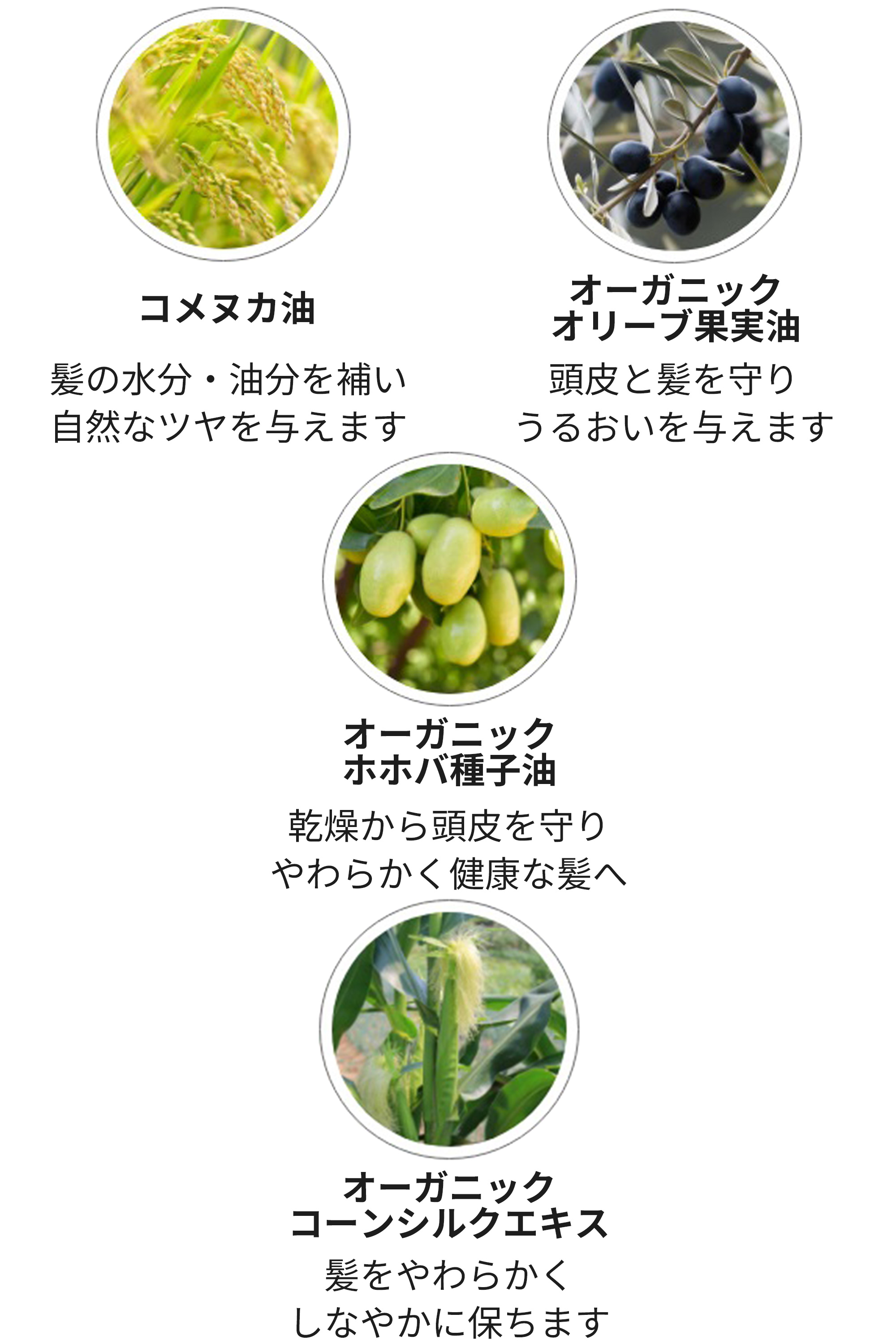 コンディショナーOE成分
