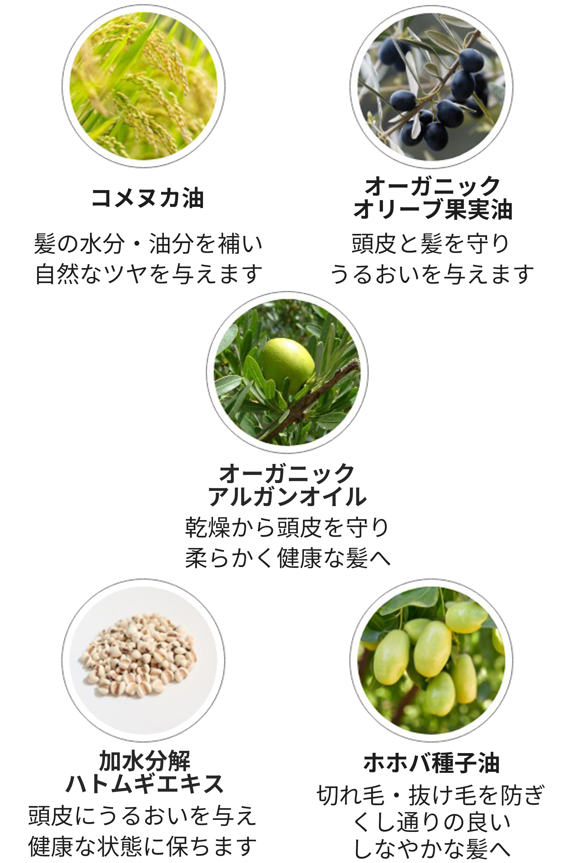 シャンプーOE成分
