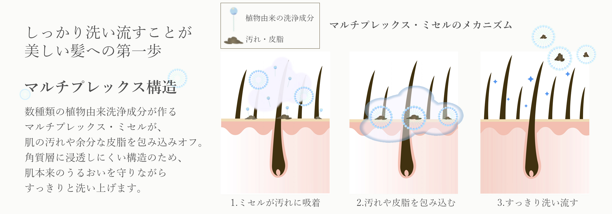 しっかり洗い流すことが美しい髪への第一歩