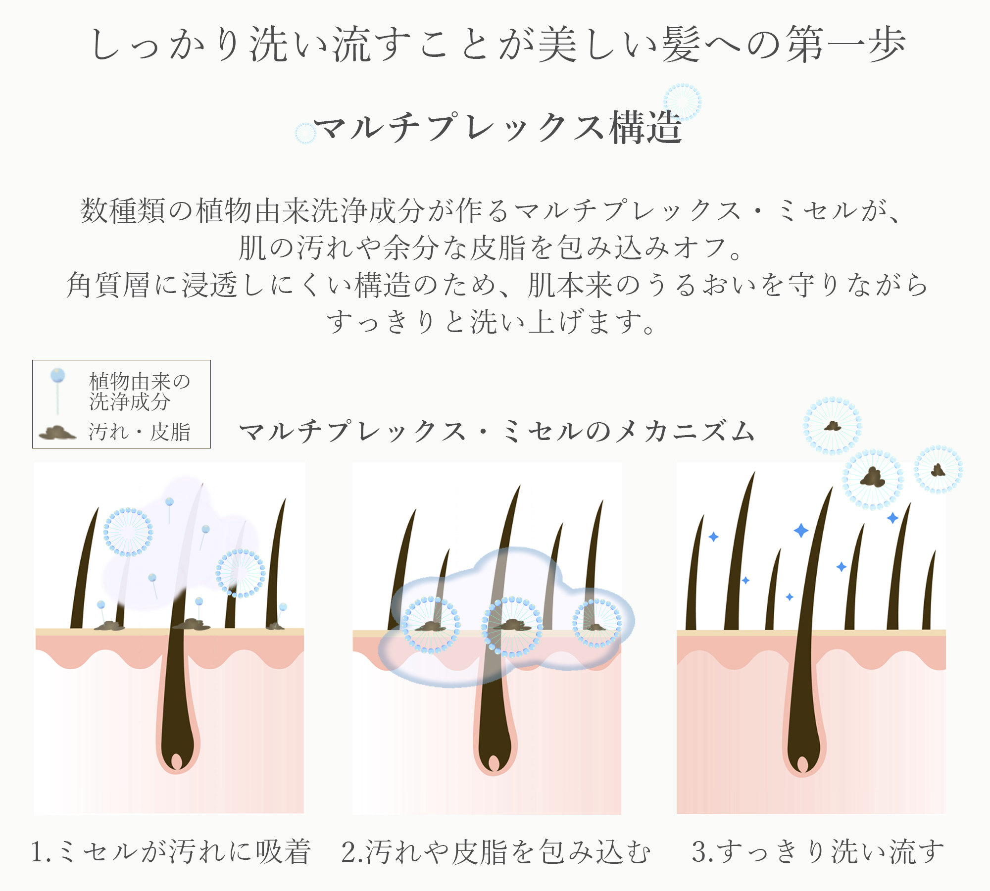 しっかり洗い流すことが美しい髪への第一歩