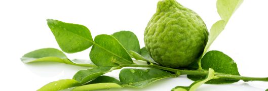 カフィルライム