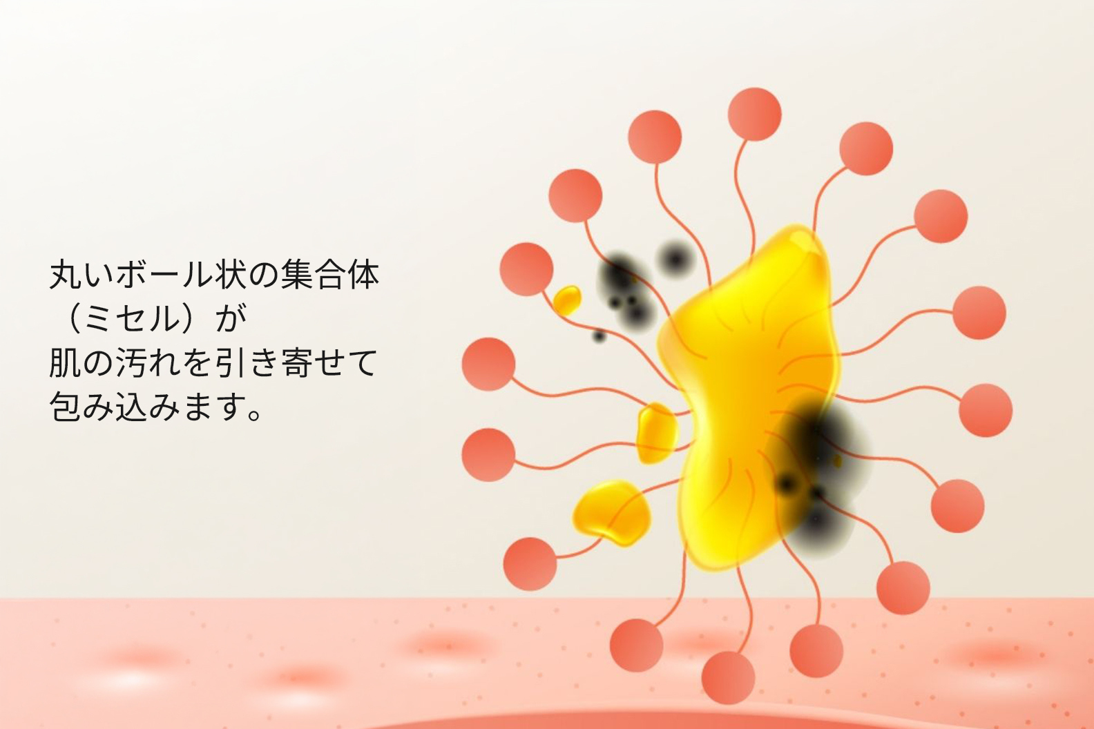 THANN ミセルステップ2