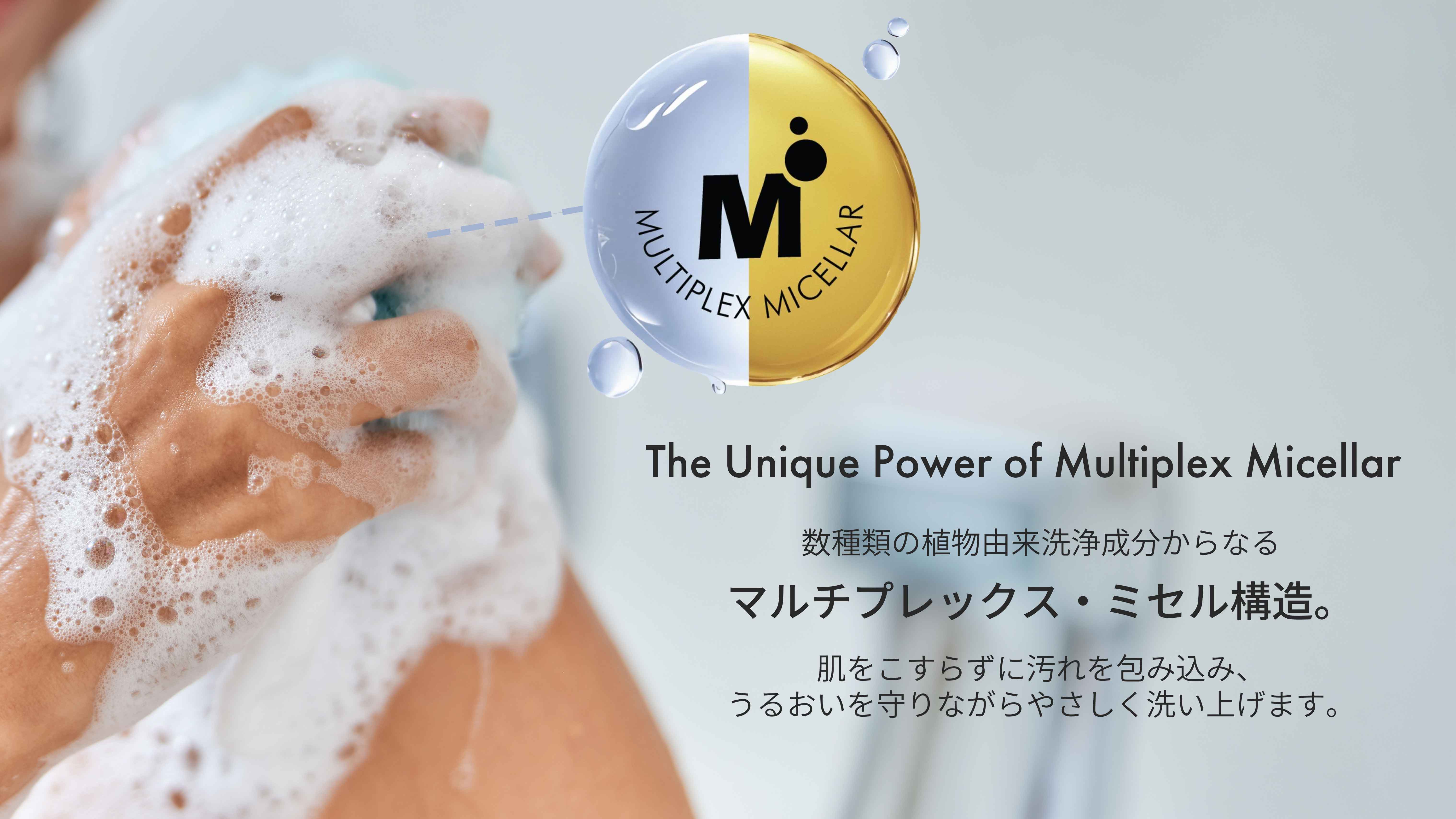 マルチプレックス・ミセルのイメージ図