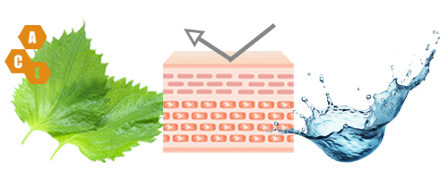 facerichcreampoint1 おすすめポイント1
