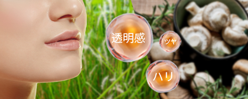 facerichcreampoint3 おすすめポイント3