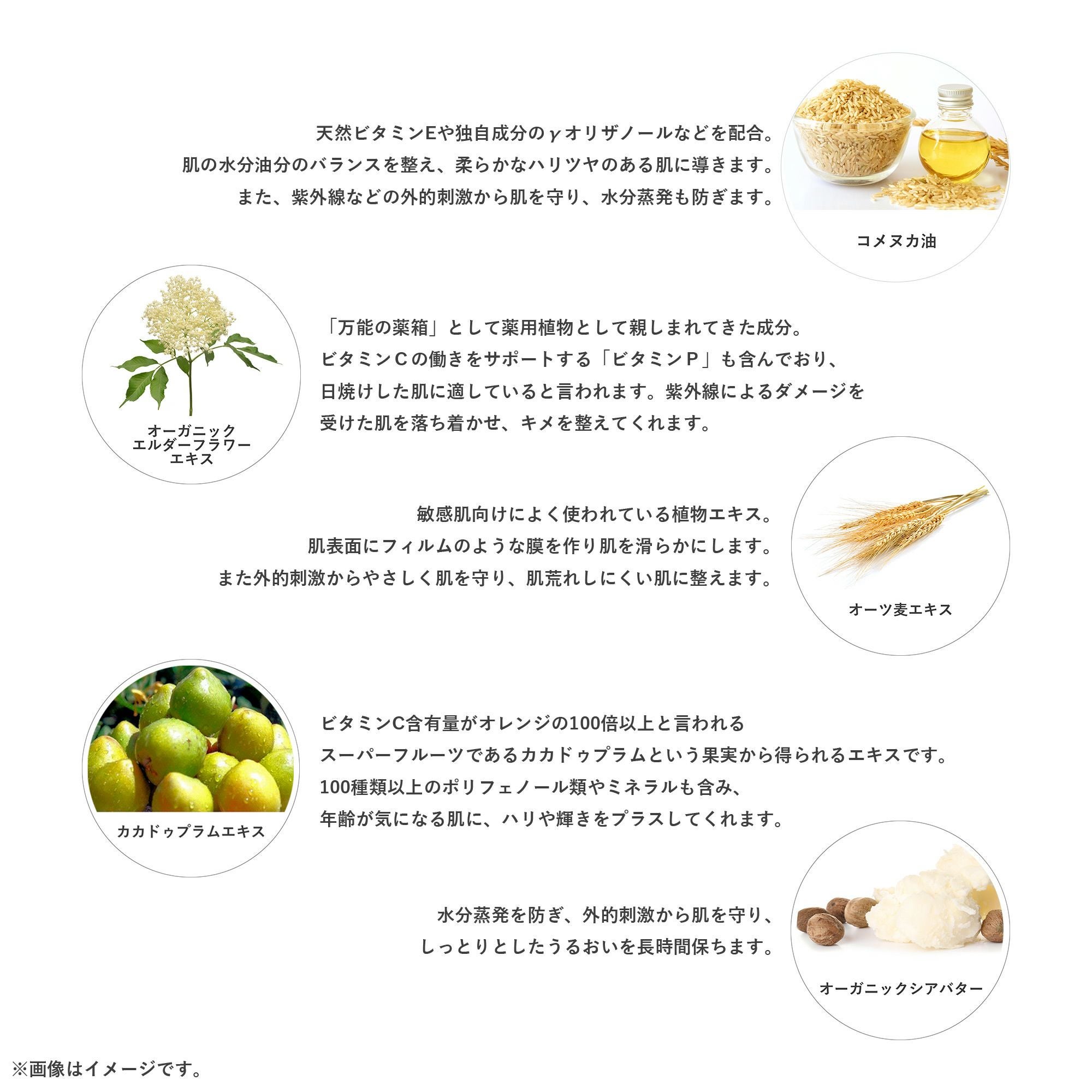 シャワージェルAW《乾燥肌に。精油に包まれるボディウォッシュ》植物