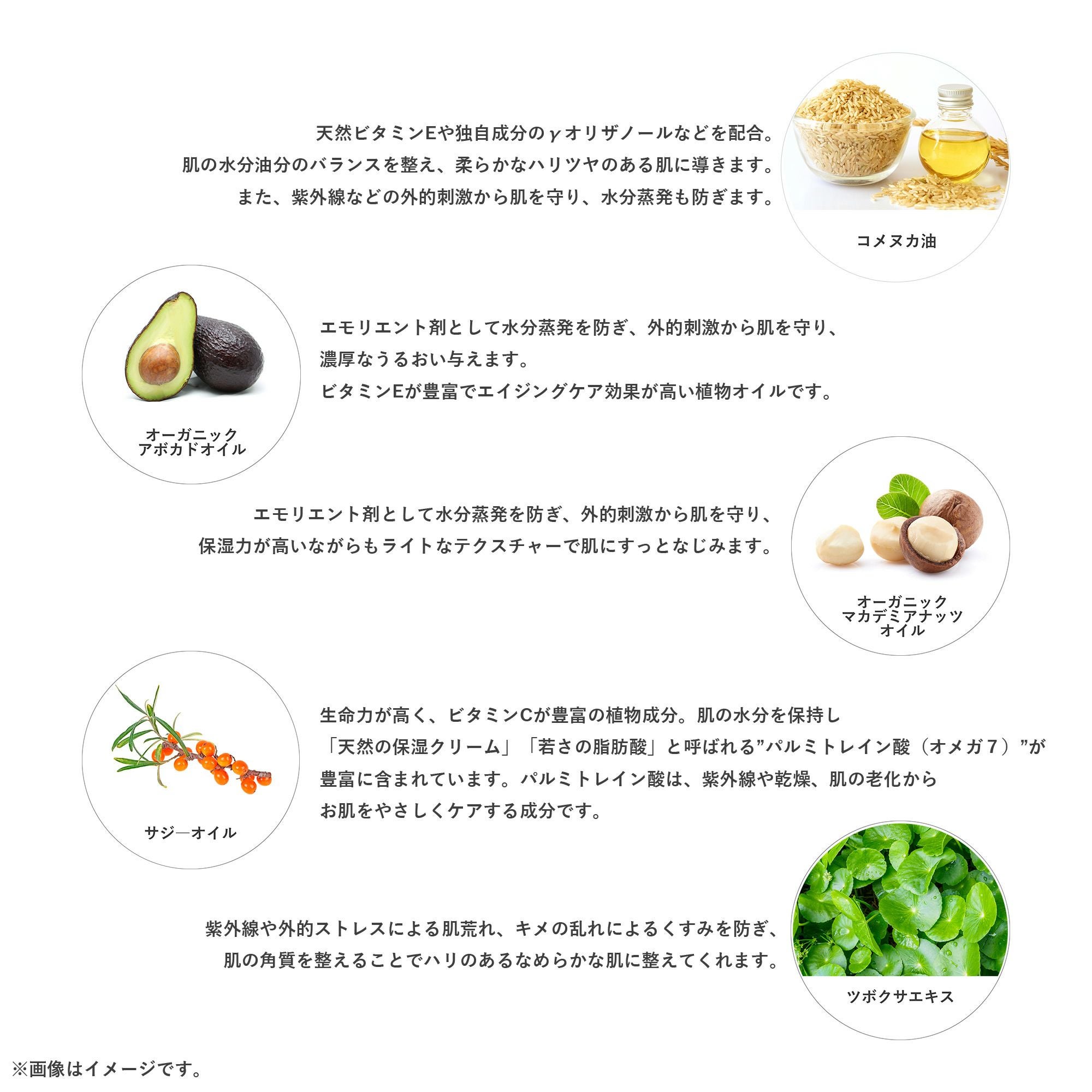 シャワージェルOE《乾燥肌に。精油に包まれるボディウォッシュ》植物