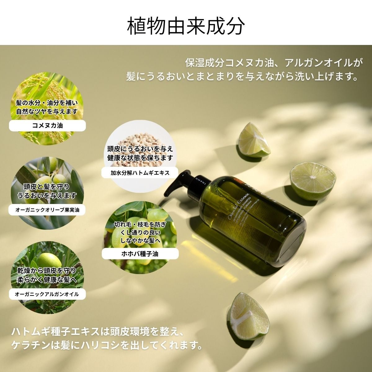 シャンプー OE 《うるおい・まとまり・乾燥ケアをお求めの方へ