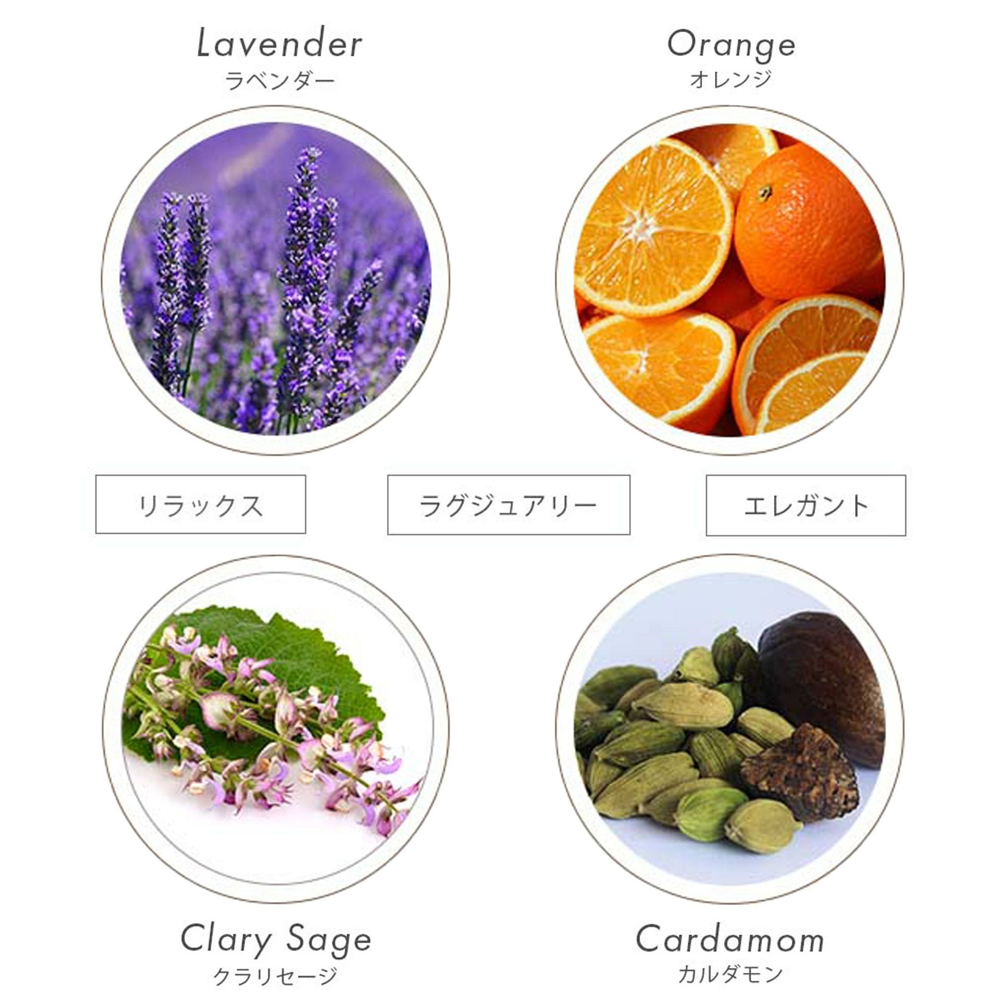シャワージェルEG《乾燥肌に。精油に包まれるボディウォッシュ》植物