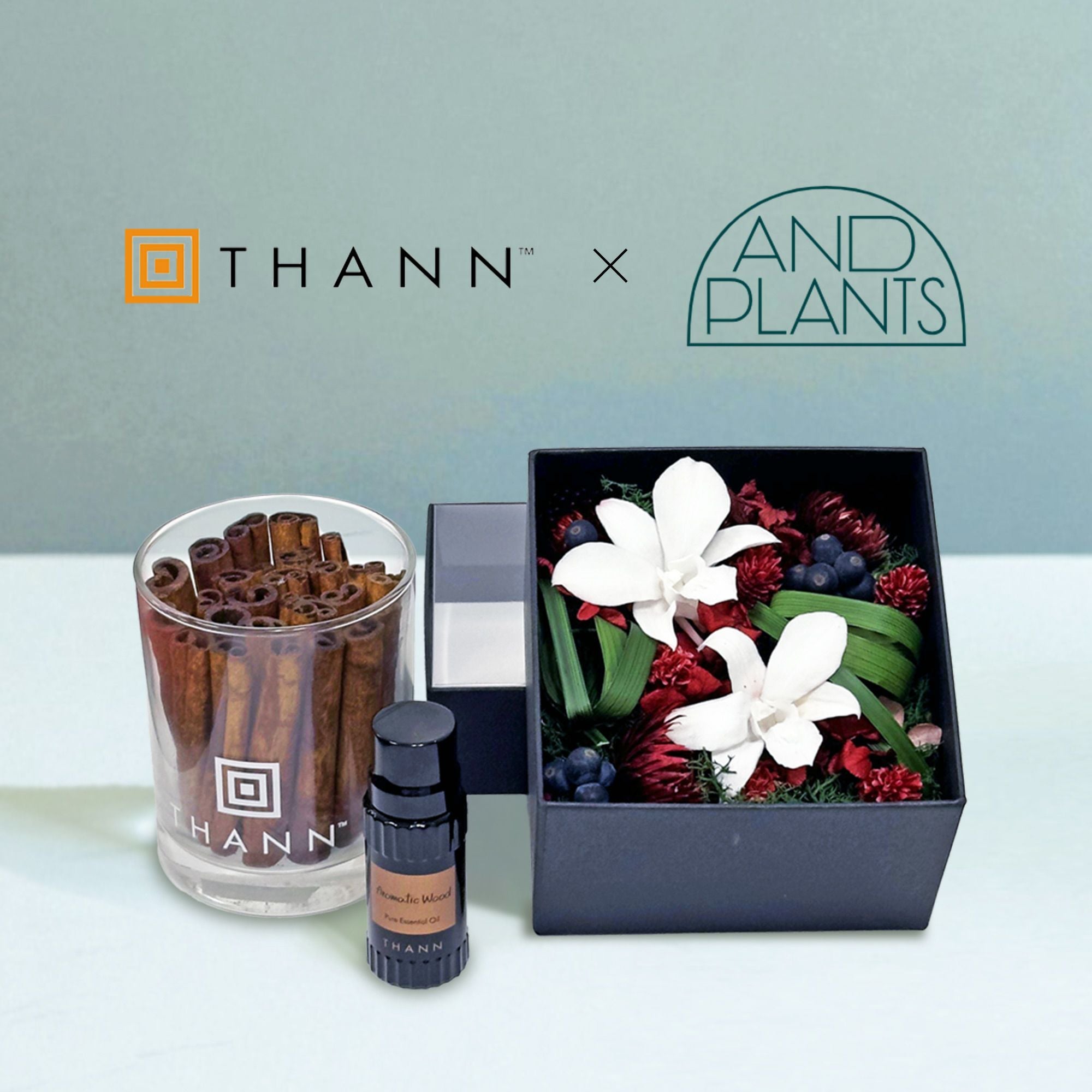 特別コラボ｜数量限定】THANN×アンドプランツ プリザーブドフラワー