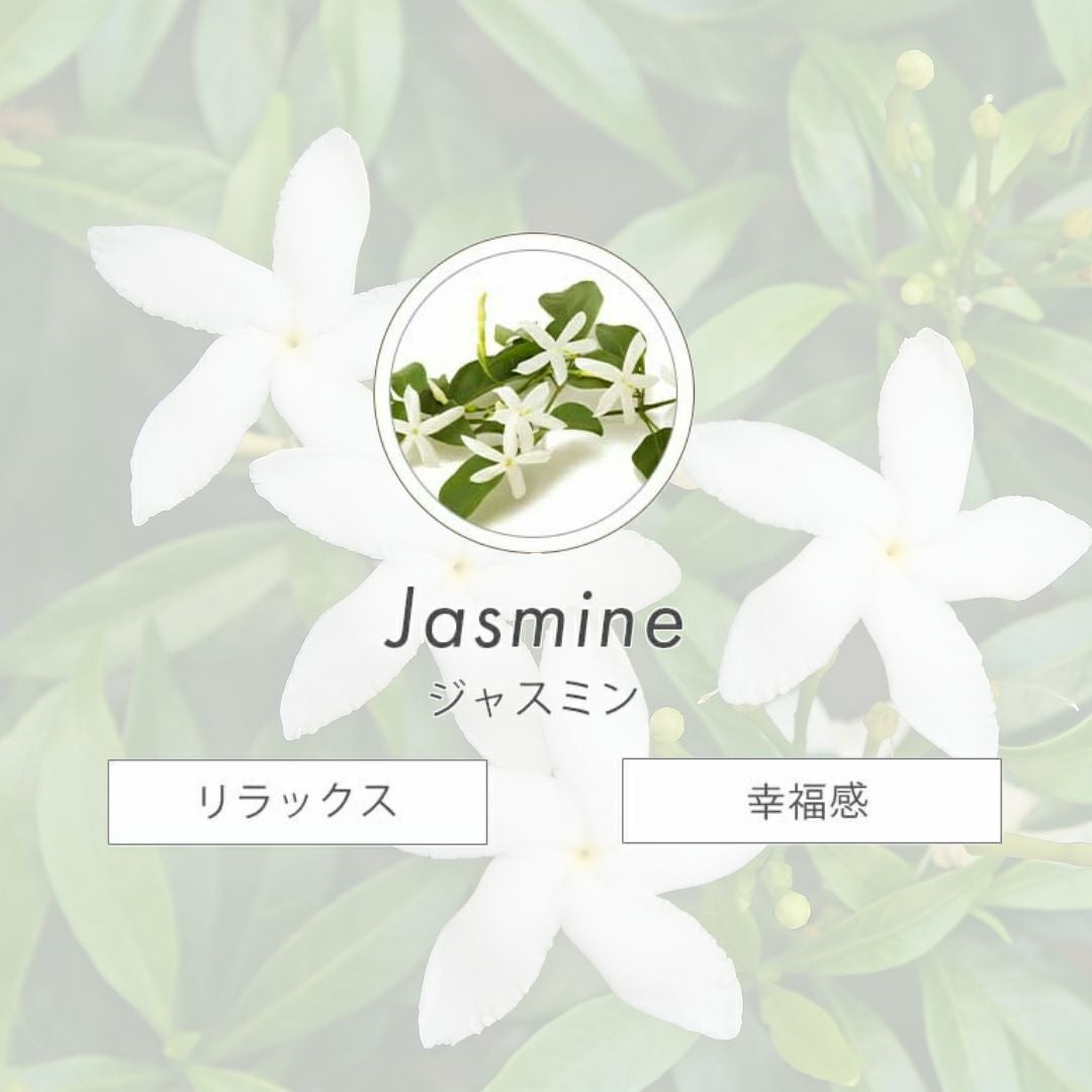 新容量】フレグランスミストJB《ジャスミンブロッサム》 | THANN