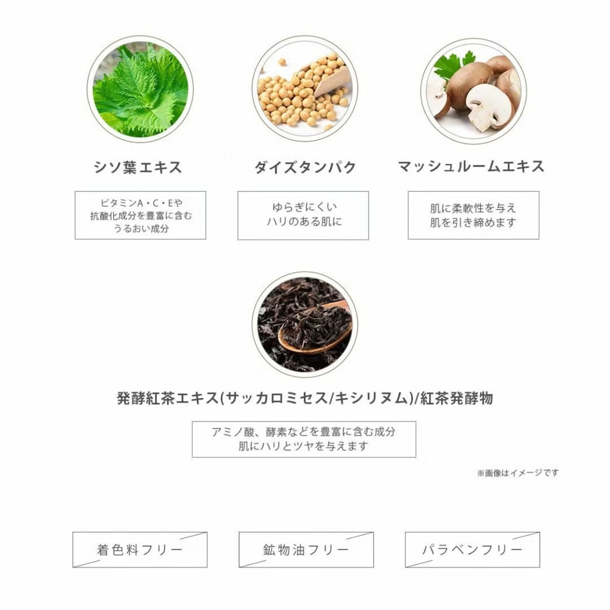 新容量】フェイスリッチクリームSC 《上質な保湿とハリを。首筋